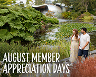 August Member Appreciation Days poster