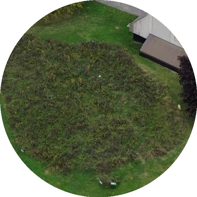 Vanier Pollinator Meadow aerial view