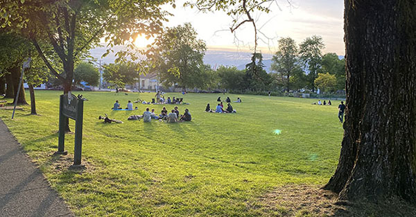 People sitting on the grass in Woodland Park during sunset, with trees framing the open field.