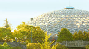 Bloedel Conservatory Bloedel Conservatory
