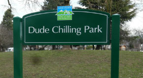 Dude Chilling Park sign