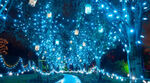 VanDusen FOL VanDusen FOL