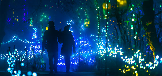 VanDusen FOL VanDusen FOL