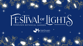 Festival of Lights on a Blue Background 