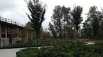 Neighbourhood Park South Neighbourhood Park South