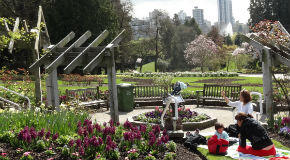 Stanley Park Picnic Areas City Of Vancouver