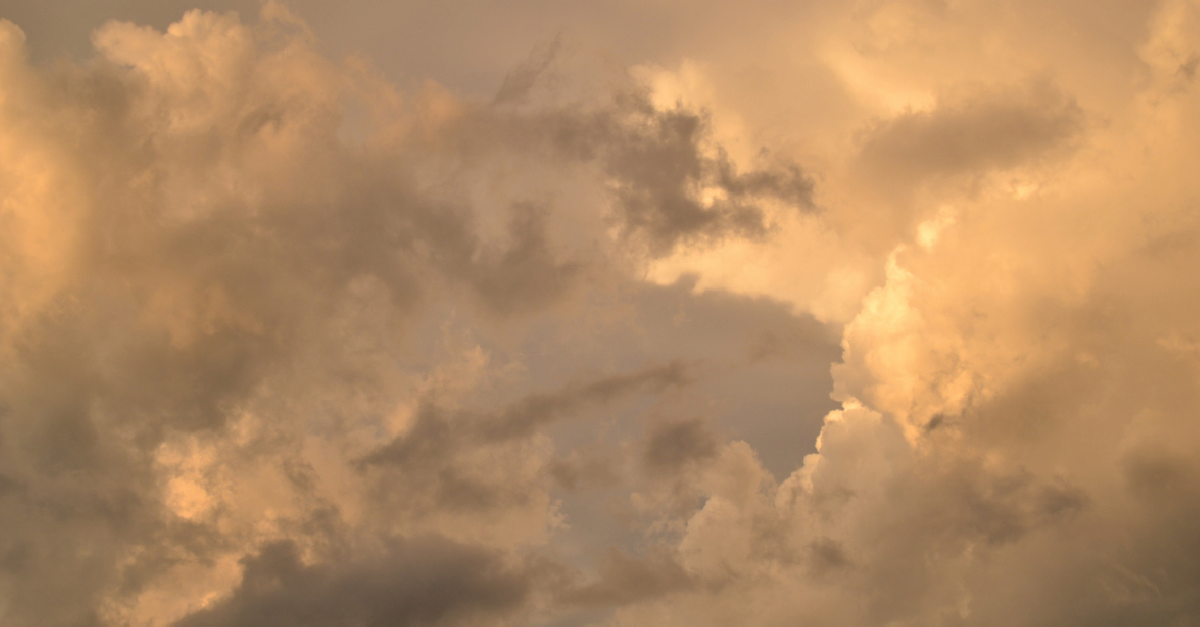 Cleaner air spaces open in Vancouver during air quality advisory City