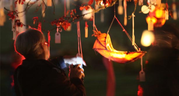 Woman looking at lanterns hanging from a tree Woman looking at lanterns hanging from a tree