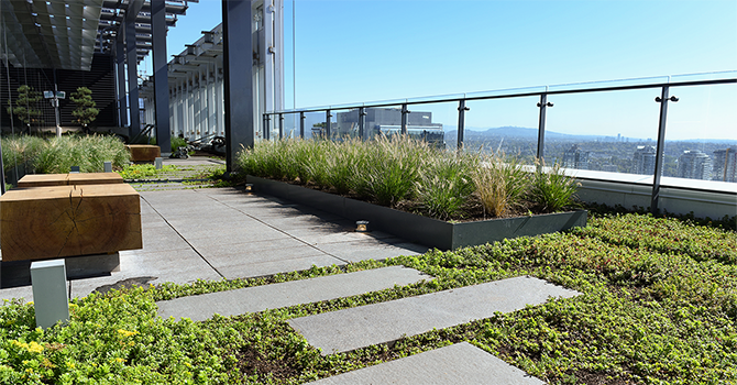 Amenity space green roof at Telus Gardens with pathways, planters, and city views