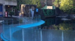 Vancouver Aquarium Pool Vancouver Aquarium Pool