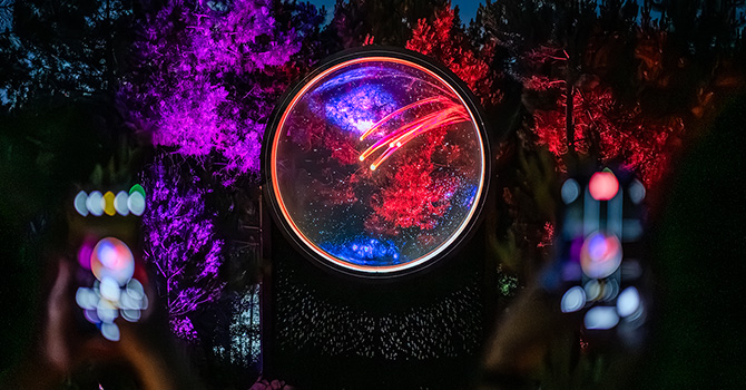 Colourful illuminated installations along a dark forest pathway at Astra Lumina.