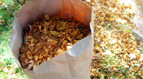 Bag filled with autumn leaves