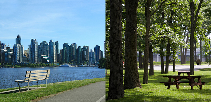 Park bench with Coal Harbour in the background, and a picnic table on the grass under some trees