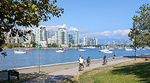 People biking on the seawall on a nice day