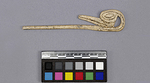 Blanket pin depicting a smə́q̓ʷaʔ (heron) found at c̓əsnaʔəm. Image courtesy of Laboratory of Archaeology at UBC. Blanket pin depicting a smə́q̓ʷaʔ (heron) found at c̓əsnaʔəm. Image courtesy of Laboratory of Archaeology at UBC.