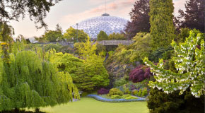 View of the vegetation at Queen Elizabeth Park with the roof of Bloedel Conservatory visible in the distance.