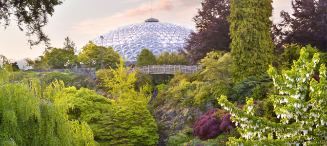 View of the vegetation at Queen Elizabeth Park with the roof of Bloedel Conservatory visible in the distance.