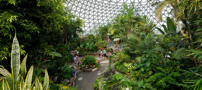 Inside the Bloedel Conservatory