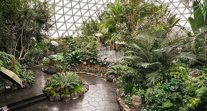 Walkway inside the Conservatory with lush greenery and vibrant flowers all around.