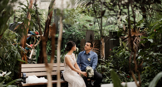 A woman in a white wedding dress sitting on a bench with a man with a blue shirt and black pants in Bloedel Conservatory.