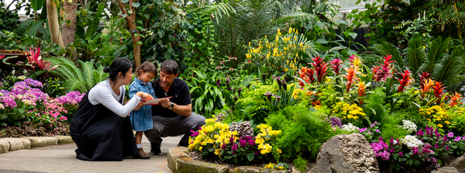 A family reviews pamphlet among tropical plants in Bloedel Conservatory