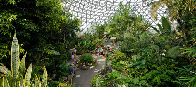 Interior of Bloedel Conservatory, featuring various plants and pathways where visitors are walking.