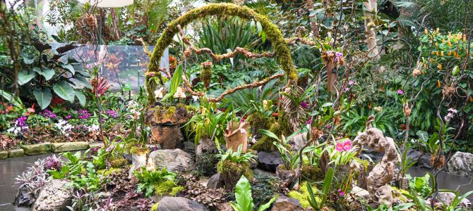 A colourful garden full of many plants and flowers