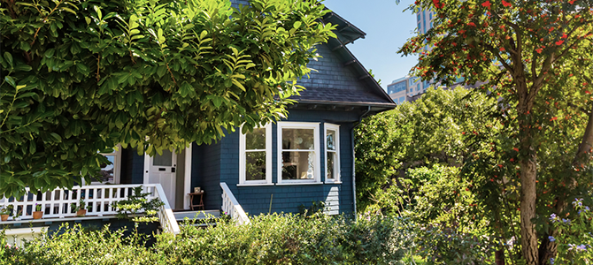 Blue house surrounded by trees 