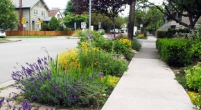 Boulevard garden with traffic circle garden in background