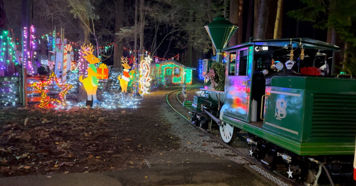 Where to see the best christmas lights in vancouver (2025 guide) 7 Image
