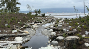 Canyon Creek in Vancouver flowing into the ocean