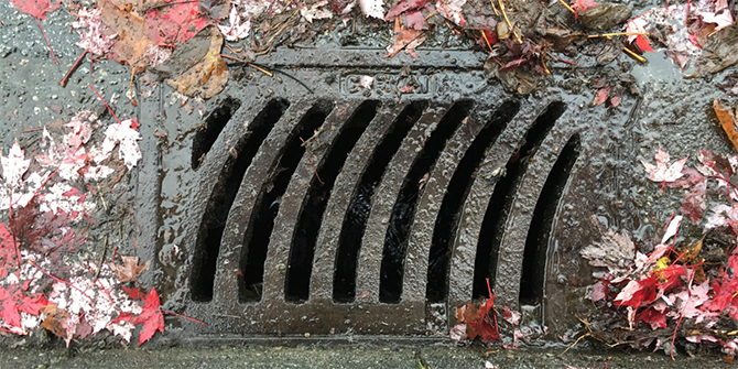 Wet catch basin with fall leaves surrounding it.  