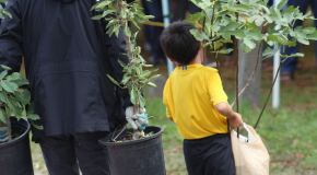 A child carries a potted plant beside an adult
