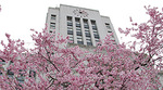 City Hall City Hall