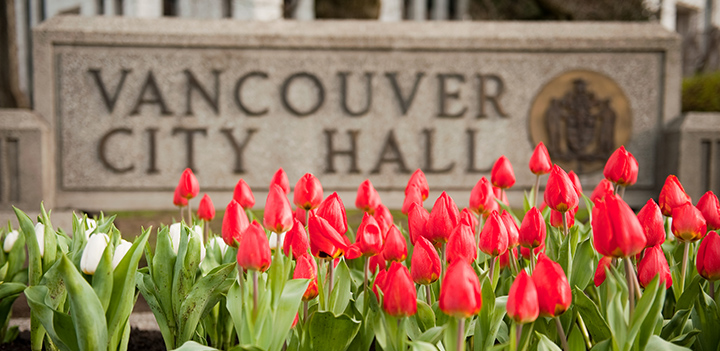 City Hall sign with tulips