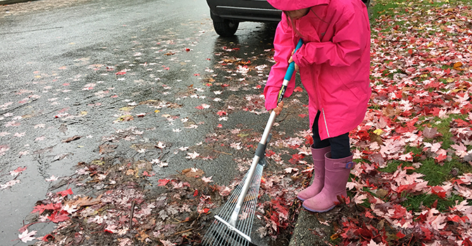 Young girl clearing a catch basin with rake