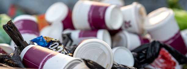 Discarded single-use coffee cups