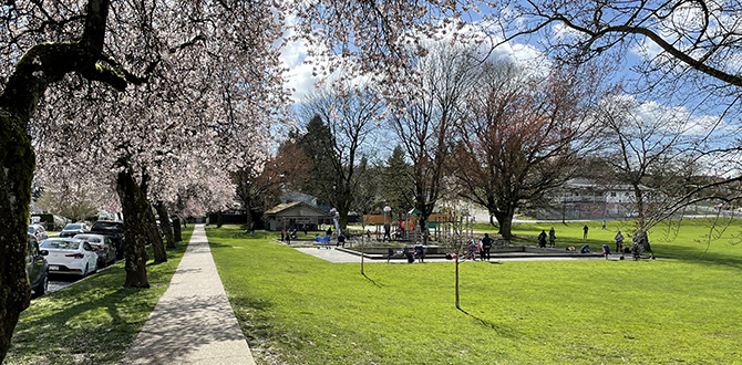 People enjoy Collingwood Park playground on a sunny day