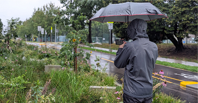 A person under an umbrella records observations in a rain garden as part of the Community Science Program. A person under an umbrella records observations in a rain garden as part of the Community Science Program.