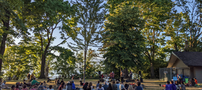 People watching a concert in a park