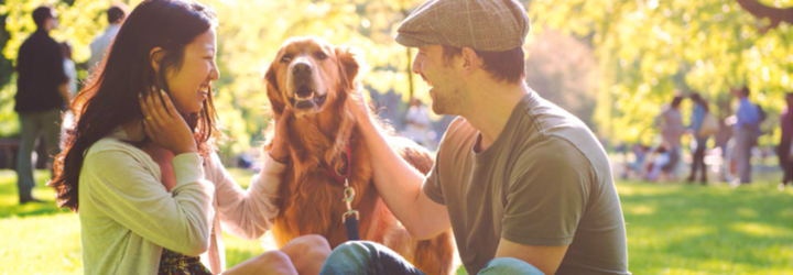 Couple with dog in park