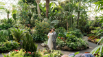 Couple standing among lush plants in Bloedel Conservatory.