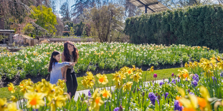 Vandusen Botanical Garden City Of Vancouver