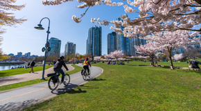 City Provides Update on Park Board Transition Plan | City of Vancouver