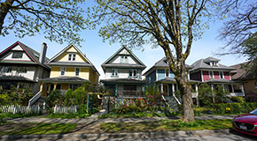 Detached homes in a row on a street