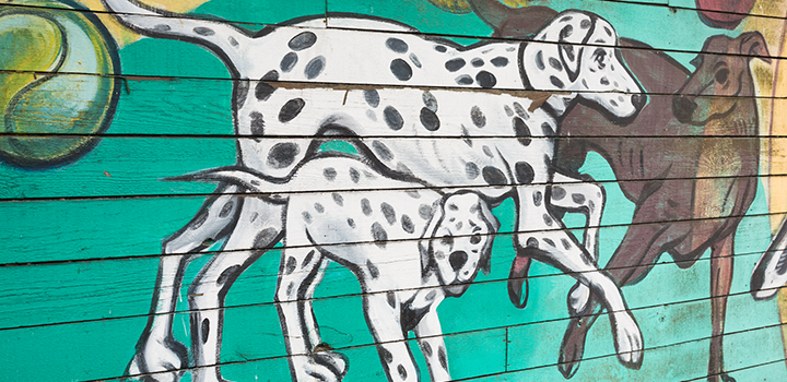 Mural of dogs Mural of dogs