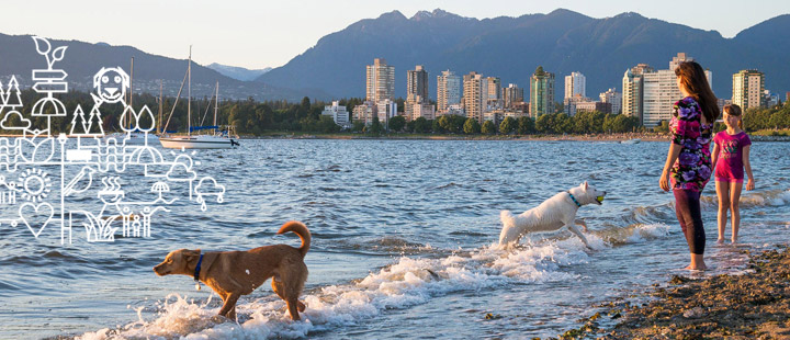 Woman and girl on beach with a brown and a white dog playing in the water