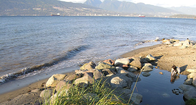 People sitting at the edge of a beach, looking out at the water