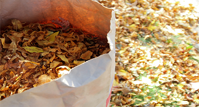 A paper lawn waste bag filled with leaves.