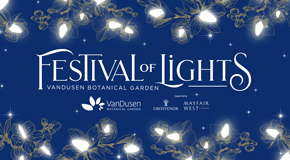 Festival of Lights 2024 poster